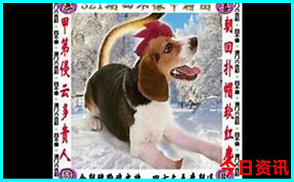 东北适合旅游的城市
